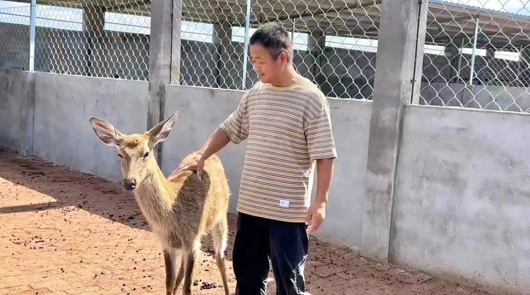 彩票平台 44 8 44负责